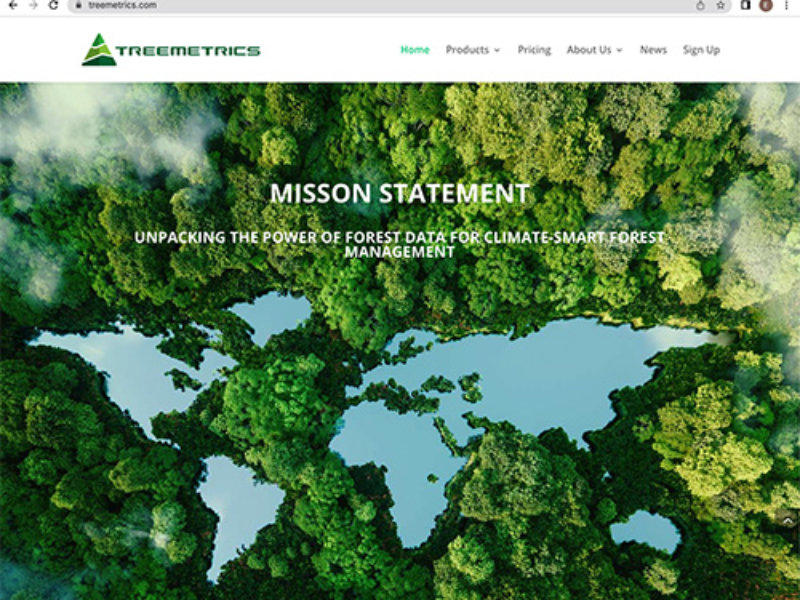 Treemetrics